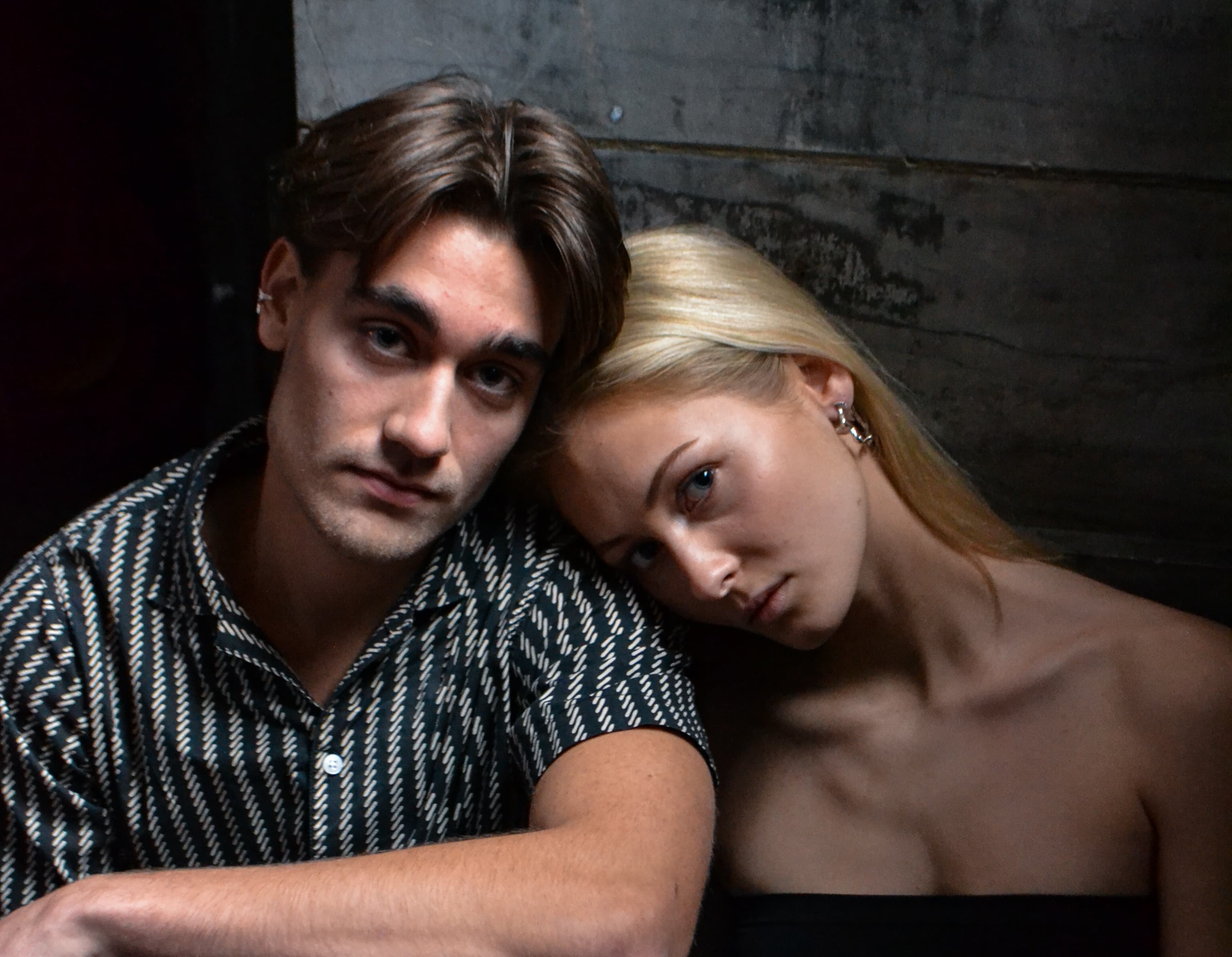 Dandelion - billede 1